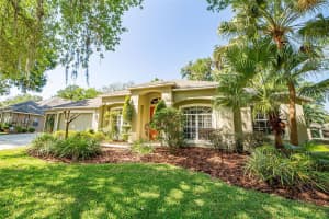 916 HICKORY FORK DRIVE, SEFFNER, FL 33584 Sold 04/14/23