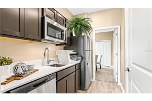 34048 SKY BLOSSOM CIRCLE, LEESBURG, FL 34788 Sold 04/17/23
