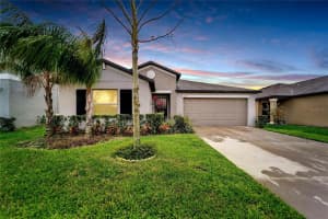 10025 ROSE PETAL PLACE, RIVERVIEW, FL 33578 Sold 04/26/23