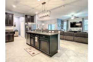 17365 OLD TOBACCO ROAD, LUTZ, FL 33558 Sold 05/12/23