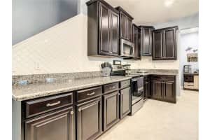 17365 OLD TOBACCO ROAD, LUTZ, FL 33558 Sold 05/12/23