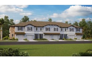 10295 Lavender Aster Trail