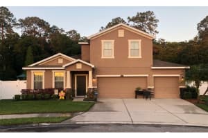 812 BRONZE BUSH COURT, PLANT CITY, FL 33566 Sold 06/15/23