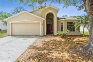 6333 OPEN PASTURE COURT, WESLEY CHAPEL, FL 33545 Sold 06/23/23