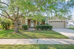 25309 CONESTOGA DRIVE, LAND O LAKES, FL 34639 Sold 04/20/23