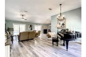 11807 TALL ELM COURT, RIVERVIEW, FL 33569 Sold 05/09/23
