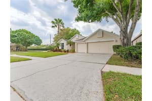 12802 BIG SUR DRIVE, TAMPA, FL 33625 Sold 04/12/23