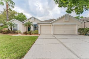 12802 BIG SUR DRIVE, TAMPA, FL 33625 Sold 04/12/23