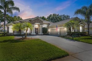 1515 BRILLIANT CUT WAY, VALRICO, FL 33594 Sold 06/01/23