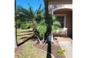 19212 WEYMOUTH DRIVE, LAND O LAKES, FL 34638 Sold 06/05/23