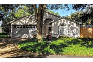 3733 SAINT AUGUSTINE PLACE, LAND O LAKES, FL 34639 Sold 06/23/23