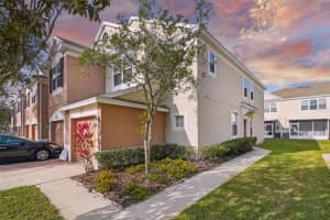 26535 Chimney Spire Ln, Wesley Chapel, FL 33544, Sold 05/04/23