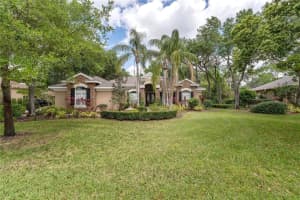 6032 AUDUBON MANOR BOULEVARD, LITHIA, FL 33547 Sold 09/21/23