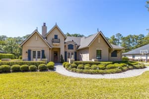 19518 Shady Hammock Ln, Odessa, FL 33556, Sold 05/19/23