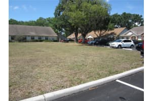 209 CRYSTAL GROVE BOULEVARD, LUTZ, FL 33548 - MLS#MFRT3436373