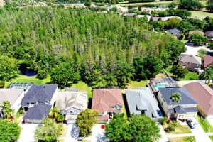 19317 SANDY SPRINGS CIRCLE, LUTZ, FL 33558 Sold 05/25/23