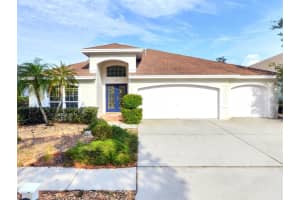 19723 Morden Blush Dr, Lutz, FL 33558, Sold 05/01/23