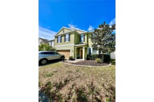 11539 TANGLE BRANCH LANE, GIBSONTON, FL 33534 Sold 06/02/23