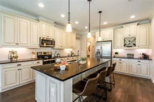 11525 CROWNED SPARROW LANE, TAMPA, FL 33626 Sold 05/10/23