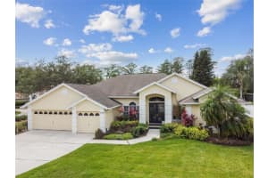 16906 FILLY LANE, ODESSA, FL 33556 Sold 06/06/23