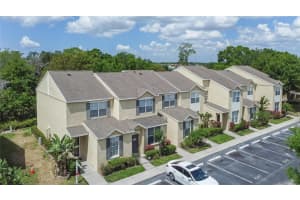 6151 Osprey Lake Circle Riverview, FL 33578 Sold 05/17/23