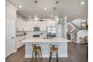 28809 ORANGE BERRY DRIVE, WESLEY CHAPEL, FL 33543 Sold 06/12/23