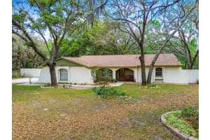 11208 DONNEYMOOR DRIVE, RIVERVIEW, FL 33569 Sold 06/02/23
