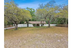 11208 DONNEYMOOR DRIVE, RIVERVIEW, FL 33569 Sold 06/02/23