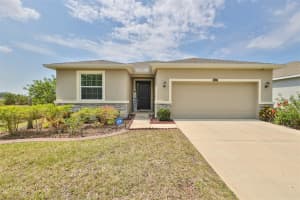 10434 SCENIC HOLLOW DRIVE, RIVERVIEW, FL 33578 Sold 08/18/23