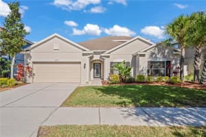 11317 Scribner Station Ln, Lithia, FL 33547, Sold 05/05/23