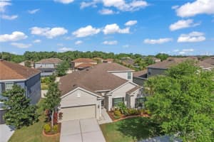 11317 Scribner Station Ln, Lithia, FL 33547, Sold 05/05/23