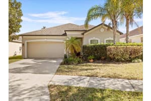 1317 MISTY VALLEY DRIVE, BRANDON, FL 33510 Sold 08/26/23