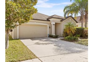 1317 MISTY VALLEY DRIVE, BRANDON, FL 33510 Sold 08/26/23