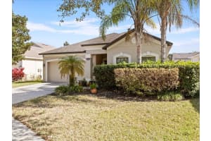 1317 MISTY VALLEY DRIVE, BRANDON, FL 33510 Sold 08/26/23