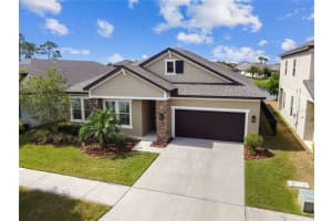 11841 CROSS VINE DRIVE, RIVERVIEW, FL 33579 Sold 06/09/23