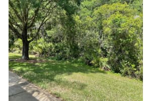 18199 PARADISE POINT DRIVE, TAMPA, FL 33647 Sold 08/01/23