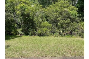 18199 PARADISE POINT DRIVE, TAMPA, FL 33647 Sold 08/01/23