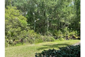18199 PARADISE POINT DRIVE, TAMPA, FL 33647 Sold 08/01/23