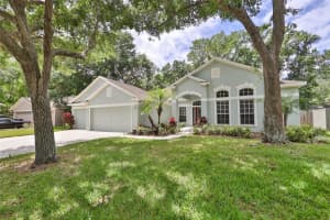 12618 RIVER BIRCH DRIVE, RIVERVIEW, FL 33569 Sold 05/16/23