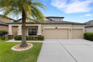 11519 PALMETTO PINE STREET, RIVERVIEW, FL 33569 Sold 05/17/23