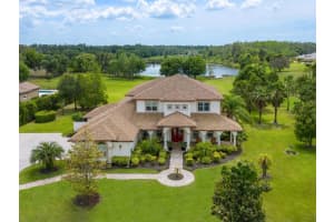 17253 BREEDERS CUP DRIVE, ODESSA, FL 33556 Sold 06/07/23