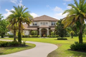 17253 BREEDERS CUP DRIVE, ODESSA, FL 33556 Sold 06/07/23