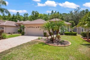 1254 LINDENWOOD DRIVE, TARPON SPRINGS, FL 34688 Sold 05/12/23