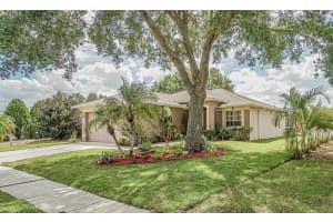 1421 BIRCHSTONE AVENUE, BRANDON, FL 33511 Sold 08/11/23