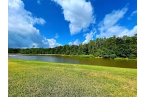 10822 BREAKING ROCKS DRIVE, TAMPA, FL 33647 Sold 05/26/23