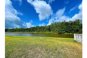 10822 BREAKING ROCKS DRIVE, TAMPA, FL 33647 Sold 05/26/23