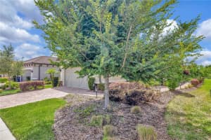 20122 Sorano Hill Pl, Tampa, FL 33647, Sold 05/15/23