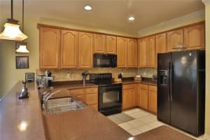 6328 DESERT PEACE AVENUE, LAND O LAKES, FL 34639 Sold 07/11/23