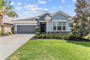 17740 Bright Wheat Dr, Lithia, FL 33547, Sold 05/19/23