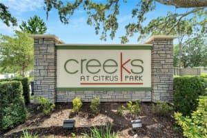 13201 CANOPY CREEK DRIVE, TAMPA, FL 33625 Sold 07/17/23